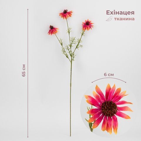 Ехінацея штучна, яскраво-рожева, 65 см (2028-023/It.beauty) E-2028023/It.beauty фото