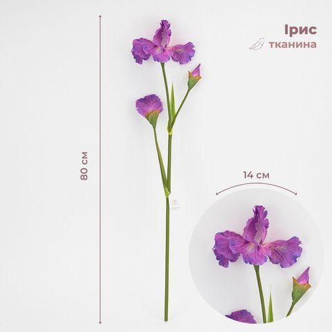 Штучний ірис, світло-фіолетовий, 80 см (2026-030/lavender) E-2026030/lavender фото
