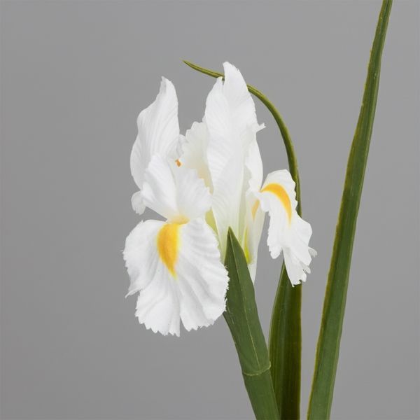 Искусственный ирис, белый, 70 см (2028-017/white) E-2028017/white фото