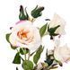 Камелия персикова (75 см) (025F/peach) E-025F/peach фото 2