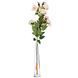 Камелия персикова (75 см) (025F/peach) E-025F/peach фото 1