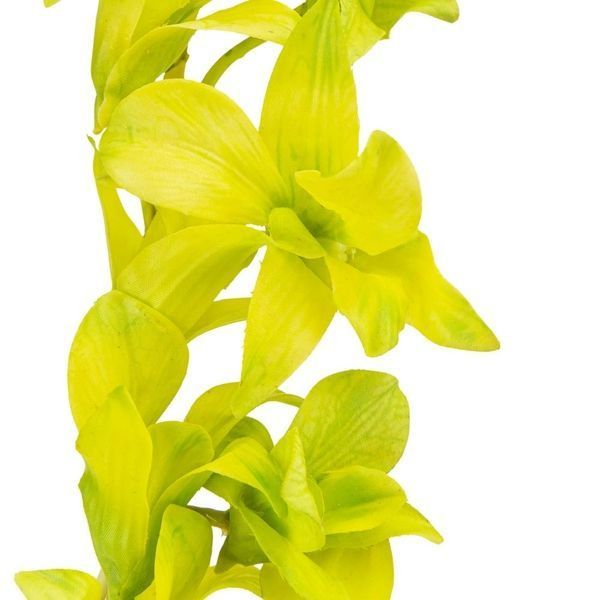 Орхидея (силикон, 87 см) (072F/green) E-072F/green фото