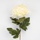 Искусственная хризантема, кремовая, 76 см (2026-012/cream) E-2026012/cream фото 2