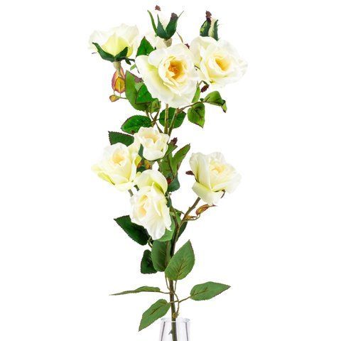 Камелія кремова. 75 см (025F/cream) E-025F/cream фото