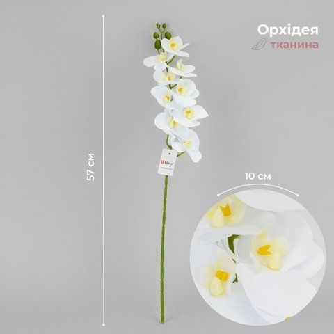 Штучна орхідея, біла, 57 см (2026-022/white) E-2026022/white фото