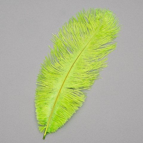 Страусиное перо 25-30 см салатовый (8501-002/light-green) E-8501002/lightgreen фото