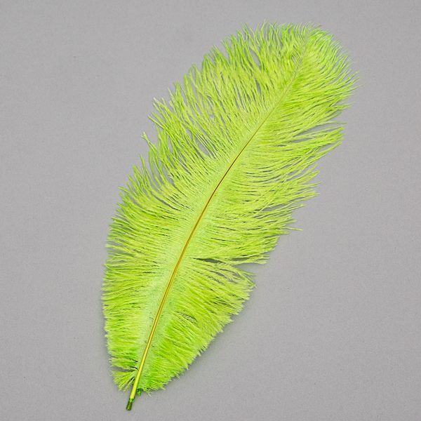 Страусине перо 25-30 см салатовий (8501-002/light-green) E-8501002/lightgreen фото