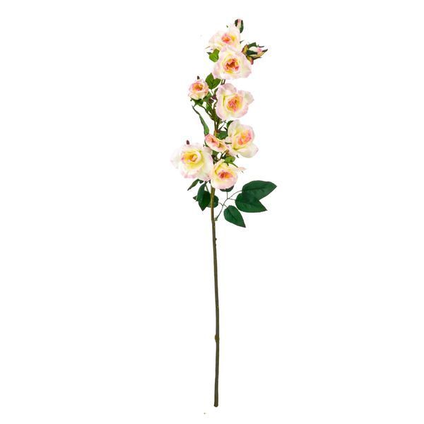 Камелія кремово-рожева, 75 см (025F/cream-pink) E-025F/creampink фото