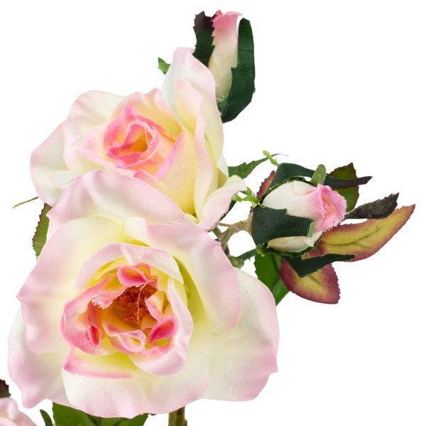 Камелія кремово-рожева, 75 см (025F/cream-pink) E-025F/creampink фото