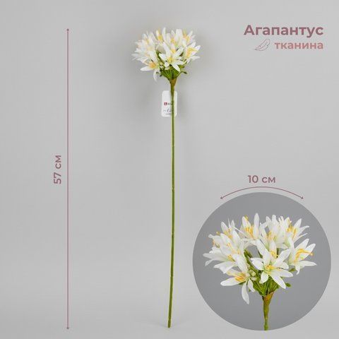 Агапантус искусственный, белый, 57 см (2028-018/white) E-2028018/white фото