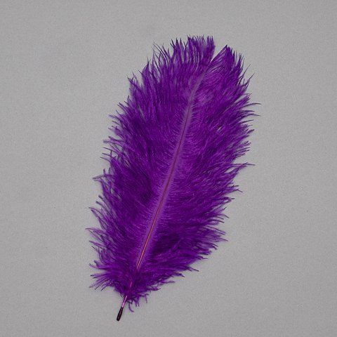 Страусиное перо 25-30 см фиолетовый (8501-002/purple) E-8501002/purple фото