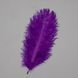 Страусине перо 25-30 см фіолетовий (8501-002/purple) E-8501002/purple фото 1