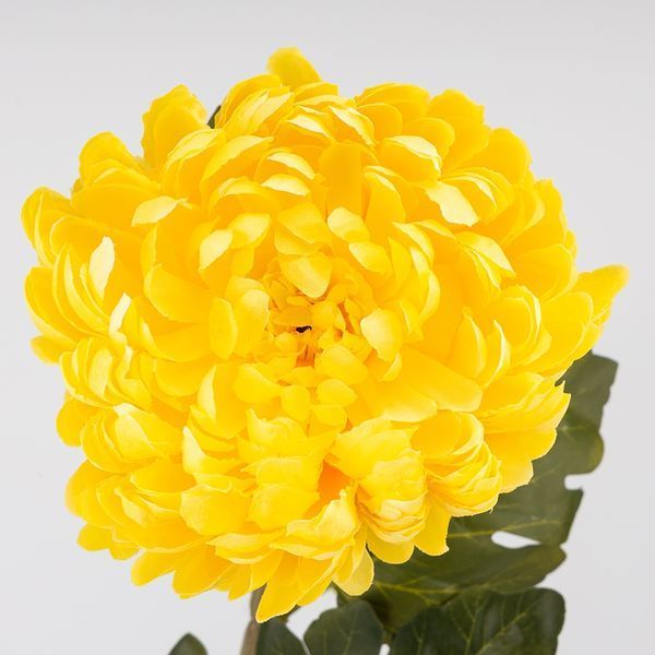 Искусственная хризантема, желтая, 72 см (2026-011/yellow) E-2026011/yellow фото