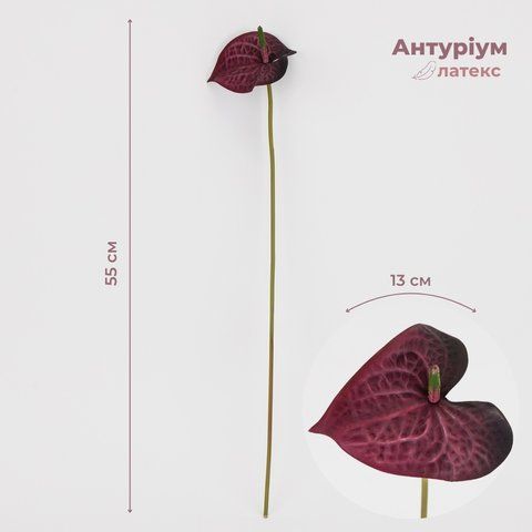 Антуріум латексний, винний, 55 см (9317-008) E-9317008 фото