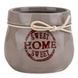 Кашпо "Home", 7,5 см * Рандомный выбор дизайна (9144-005) E-9144005 фото 1