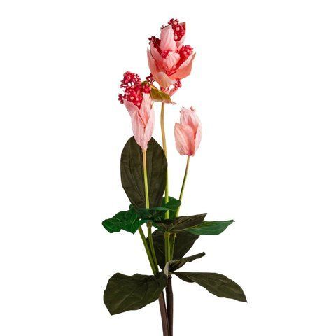 Мединилла (120 см) (092F/pink) E-092F/pink фото