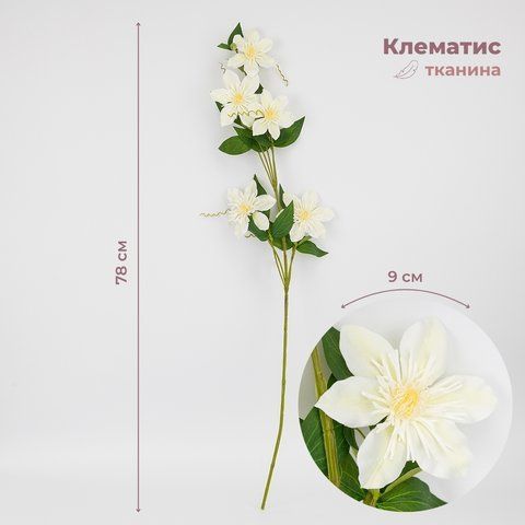 Клематис, белый, 78 см (9259-010) E-9259010 фото