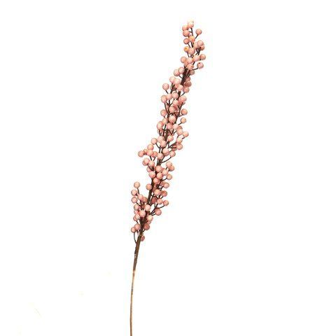 Кизильник Корал Бьюти, розовый 1 м (5000-004/PINK) E-5000004/PINK фото