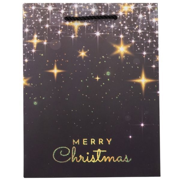 Подарунковий пакет "Merry Christmas", 18*23 см * Рандомний вибір дизайну (9165-007) E-9165007 фото