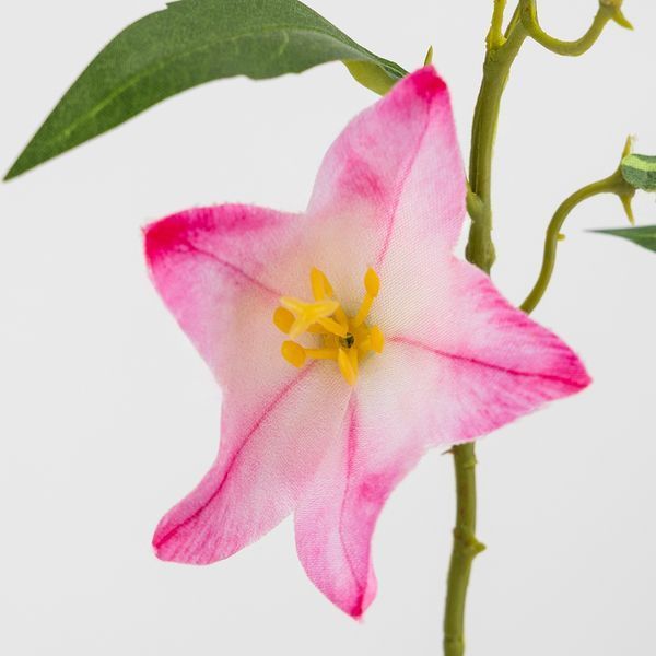 Искусственные колокольчики, нежно-розовые, 70 см (2028-004/dk.pink) E-2028004/dk.pink фото