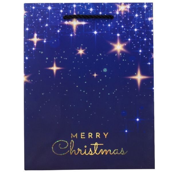 Подарунковий пакет "Merry Christmas", 18*23 см * Рандомний вибір дизайну (9165-007) E-9165007 фото