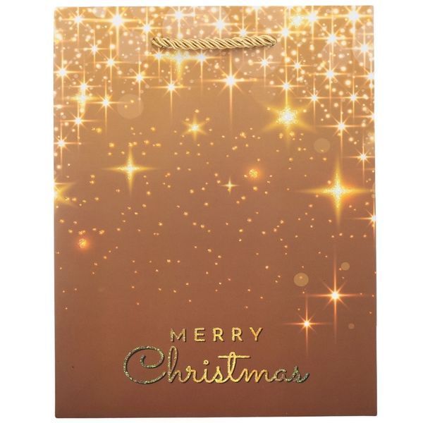 Подарунковий пакет "Merry Christmas", 18*23 см * Рандомний вибір дизайну (9165-007) E-9165007 фото