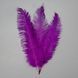 Страусине перо 55 см фіолетовий (8501-001/purple) E-8501001/purple фото 1