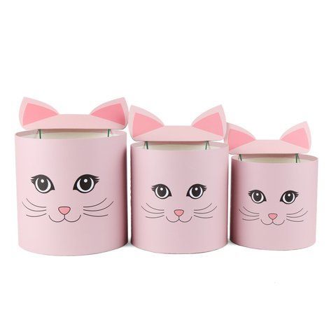 Набор из трех коробок "Милая кошечка", розовый (8929-014) E-8929014 фото