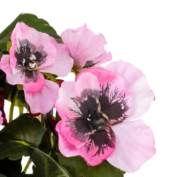 Анютины глазки (25 см) (106F/pink) E-106F/pink фото