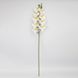 Латексна орхідея, кремова, 95 см (2026-021/cream) E-2026021/cream фото 4