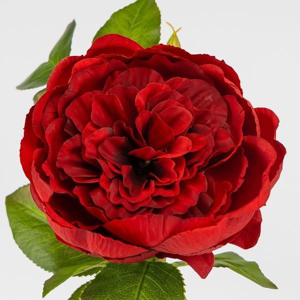 Троянда піоновидна, червона, 61 см (2026-018/red) E-2026018/red фото