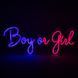Светодиодная (LED) неоновая вывеска "Boy or Girl", от сети, сине-розовая, 50*20 см (9318-009) E-9318009 фото 2