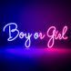 Светодиодная (LED) неоновая вывеска "Boy or Girl", от сети, сине-розовая, 50*20 см (9318-009) E-9318009 фото 3