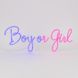 Светодиодная (LED) неоновая вывеска "Boy or Girl", от сети, сине-розовая, 50*20 см (9318-009) E-9318009 фото 4