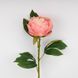 Искусственный пион, кремово-розовый, 70 см (2026-019/dk.pink) E-2026019/dk.pink фото 2