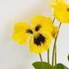 Фиалки искусственные, желтые, 30 см (2028-024/yellow) E-2028024/yellow фото 2