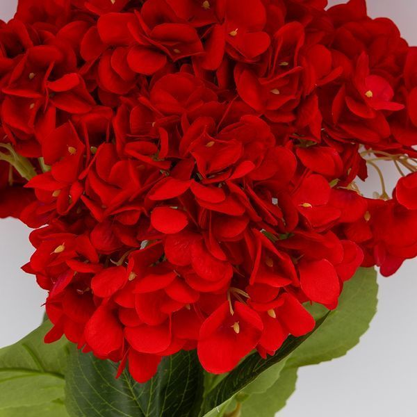 Букет гортензий, 5 бутонов, красный, 48 см (2026-008/red) E-2026008/red фото