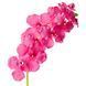 Орхідея онцидиум, рожева (8701-033) E-8701033 фото 2