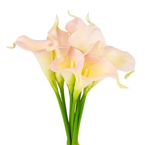 Мини калла (35 см) (042-14B/pink) E-04214B/pink фото