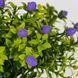 Букет з 6 гілок "Гіперикум", фіолетовий, 20 см (9311-016) E-9311016 фото 4