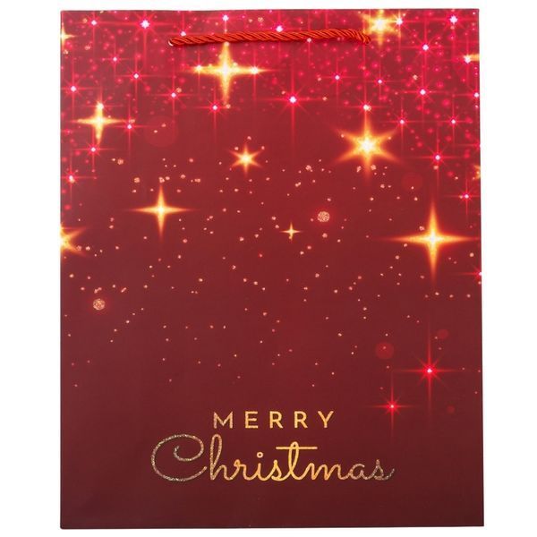Подарочный пакет "Merry Christmas", 26*32 см * Рандомный выбор дизайна (9165-008) E-9165008 фото