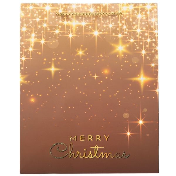 Подарочный пакет "Merry Christmas", 26*32 см * Рандомный выбор дизайна (9165-008) E-9165008 фото