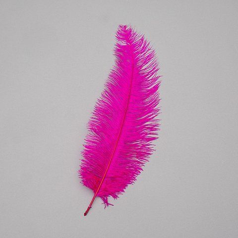 Страусиное перо 25-30 см ярко-фиолетовый (8501-002/bright-purple) E-8501002/brightpurple фото