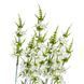 Искуственный цветок (WHITE) (027FW-2) E-027FW2 фото 2