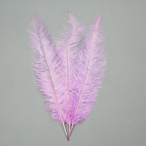 Страусиное перо 55 см светло-фиолетовый (8501-001/light-purple) E-8501001/lightpurple фото