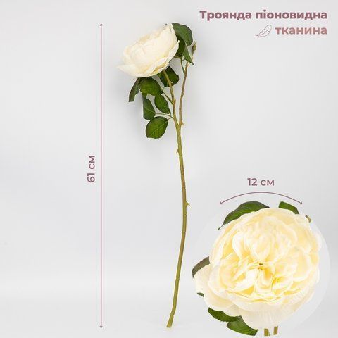 Троянда піоновидна, кремова, 61 см (2026-018/cream) E-2026018/cream фото