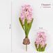 Гіацинт штучний з цибулиною, рожевий, 35 см (2028-029/dk.pink) E-2028029/dk.pink фото 1