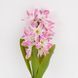 Гіацинт штучний з цибулиною, рожевий, 35 см (2028-029/dk.pink) E-2028029/dk.pink фото 2
