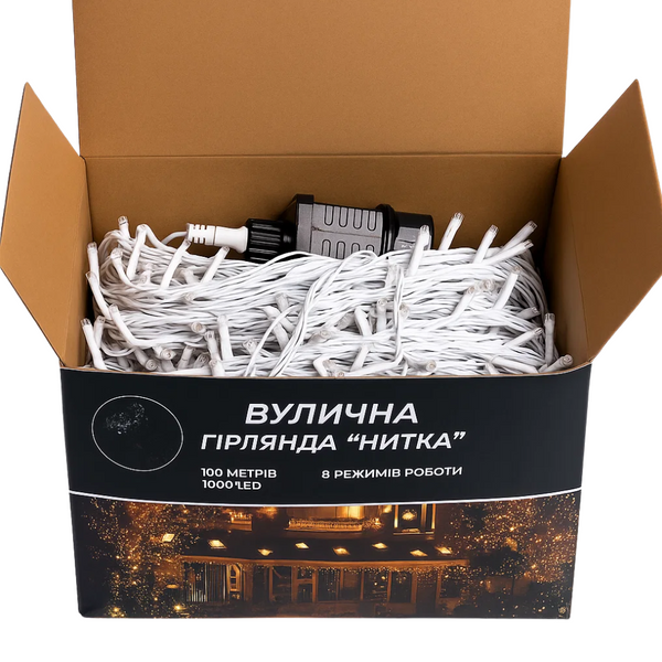 Гірлянда Різдвяна фея вулична 100 (м) 1000 LED (CF1000L100M) Garlando L-CF1000L100MWBL фото