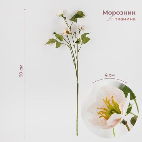 Морозник штучний (Різдвяна троянда), кремовий, 60 см (2028-006/pink-white) E-2028006/pinkwhite фото